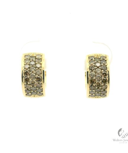 Specials Oorringen Diamant